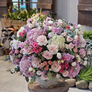 Premium Exotic Flowers
