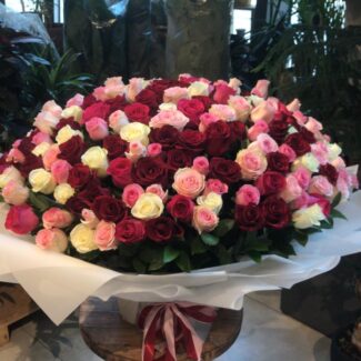250 Rose