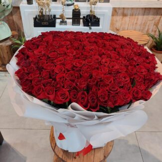 300 Rose