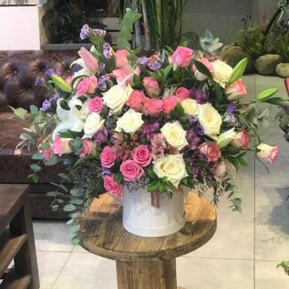 Flower and Blooms
