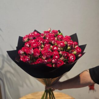 10 Red & White Baby Roses Bouquet