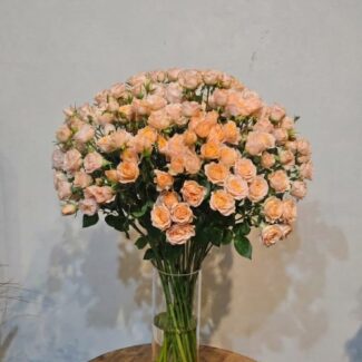 15 Peach Spray Roses with Vase
