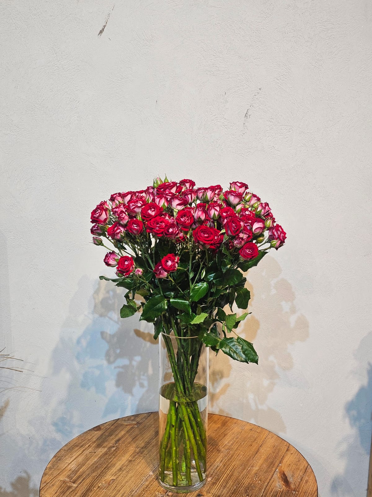 15 Red & White Spray Roses with Vase