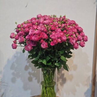 20 Hot Pink Spray Roses with Vase