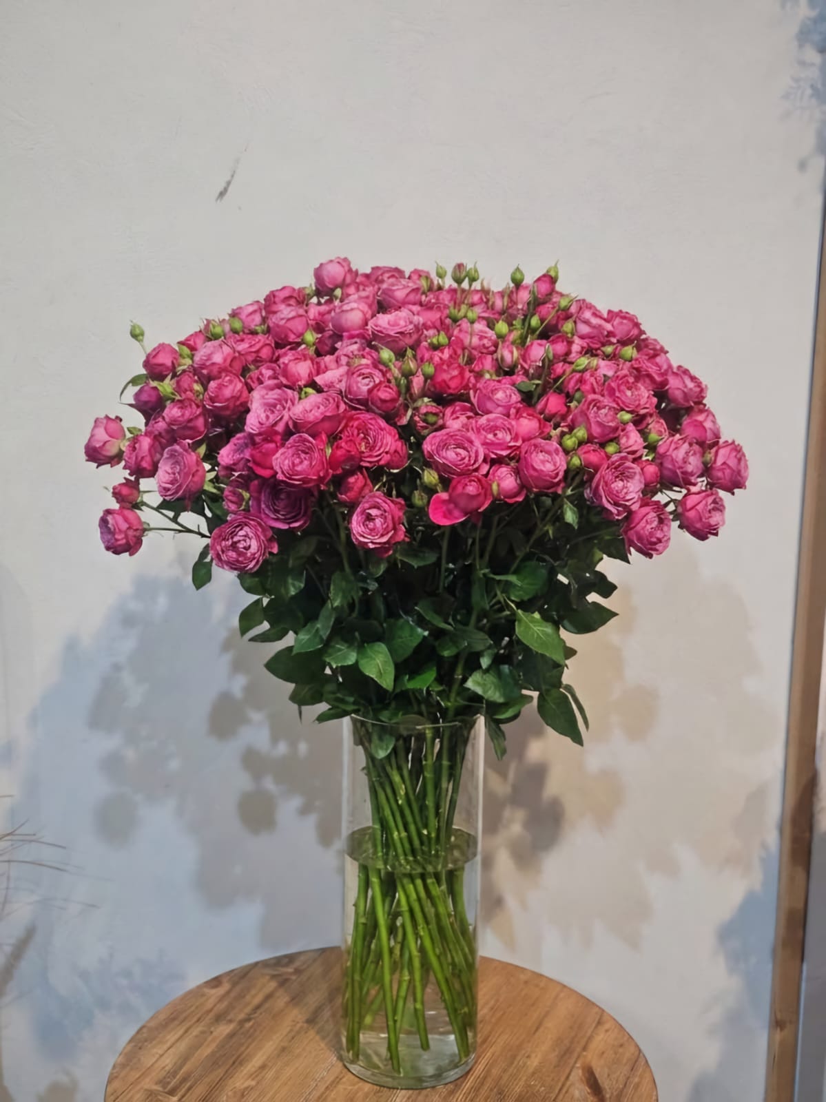 20 Hot Pink Spray Roses with Vase