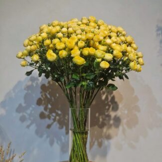 20 Yellow Spray Roses with Vase