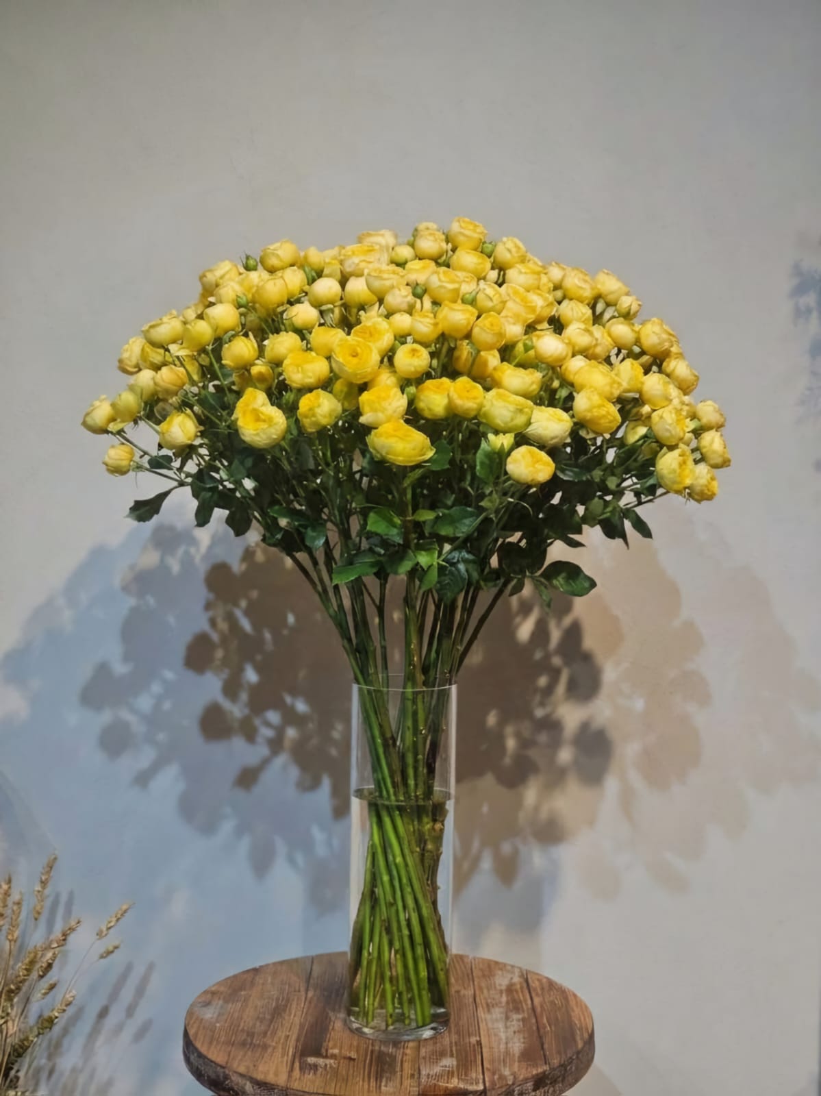 20 Yellow Spray Roses with Vase